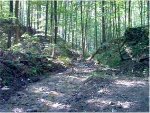 Wandersteinbach